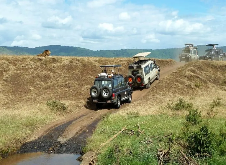 What is the point of off-roading