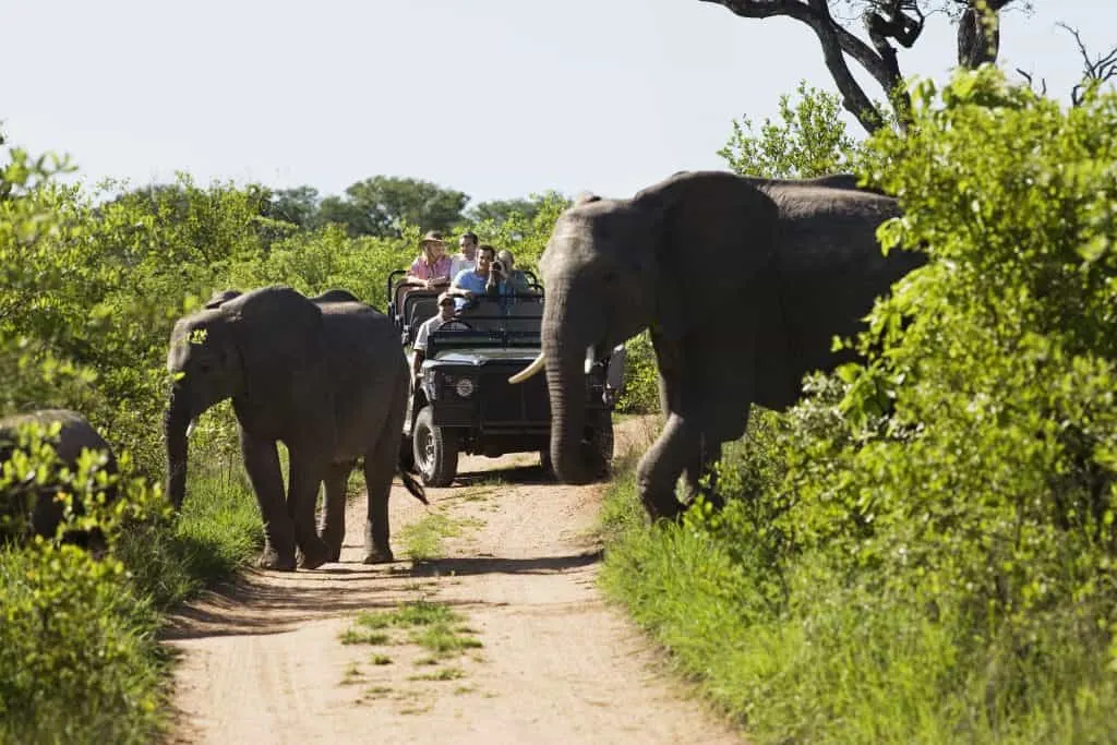 Is Off-Roading Bad for the Environment