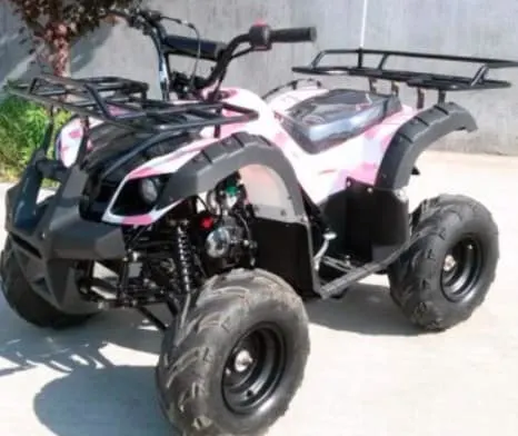 How Fast Does 110cc ATV Go