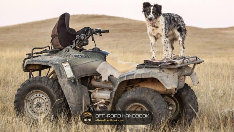 Muddy, well-used Honda Rancher ATV in dry pasture with a dog standing on the rear rack