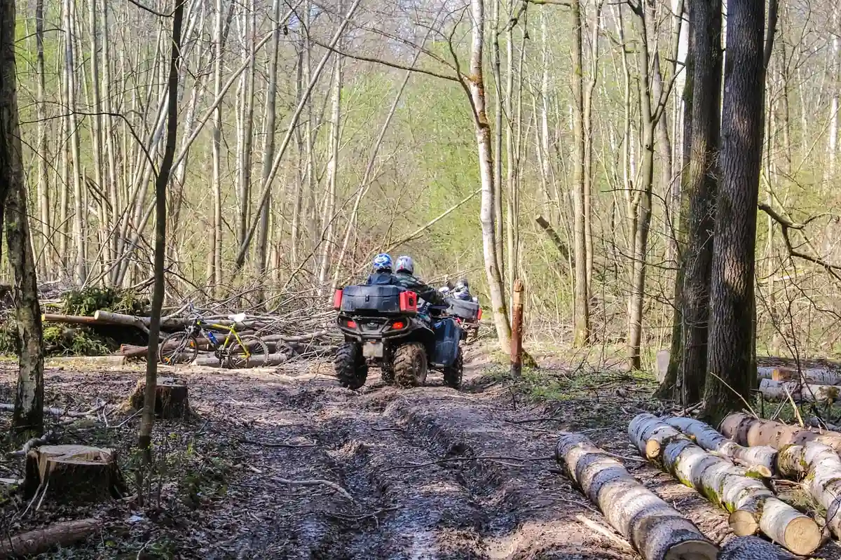 Riders on ATVs following a muddy forest trail with fallen logs beside it