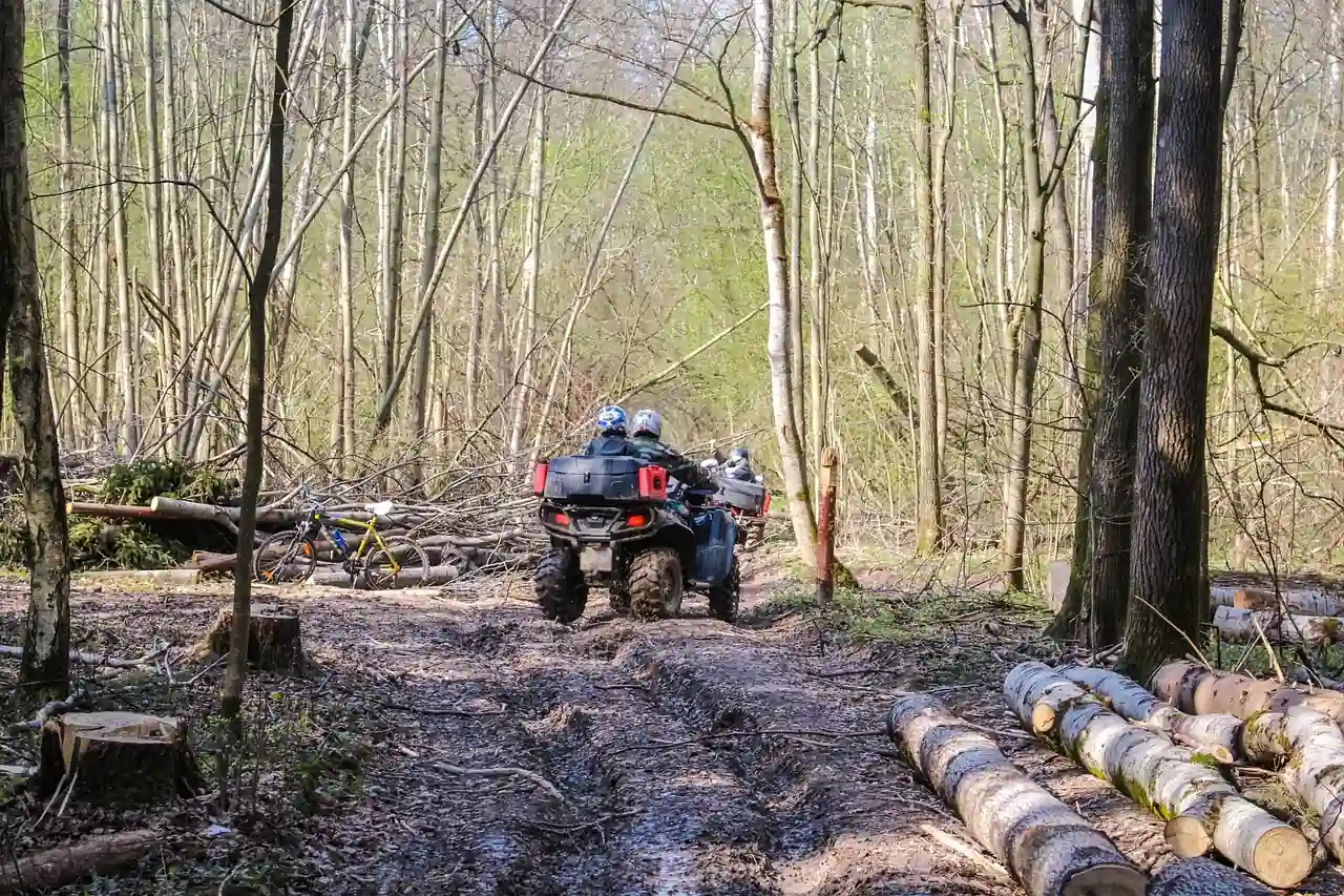 Group of riders on ATVs following a muddy rutted trail through a birch forest