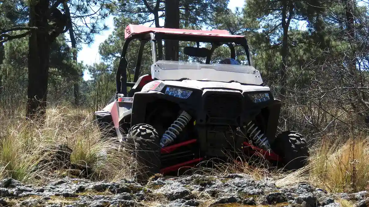 A red and white side-by-side UTV picking its way through grass and rock on a pine-forest trail (stock photo of a generic UTV, not a KRX 1000)