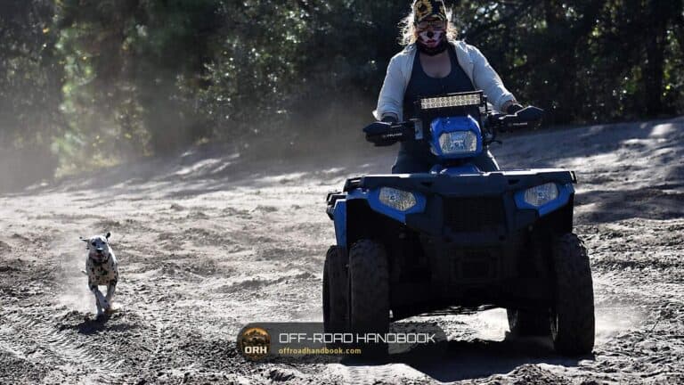 Rider on a blue utility ATV on a dusty trail with a dog running alongside — Off-Road Handbook