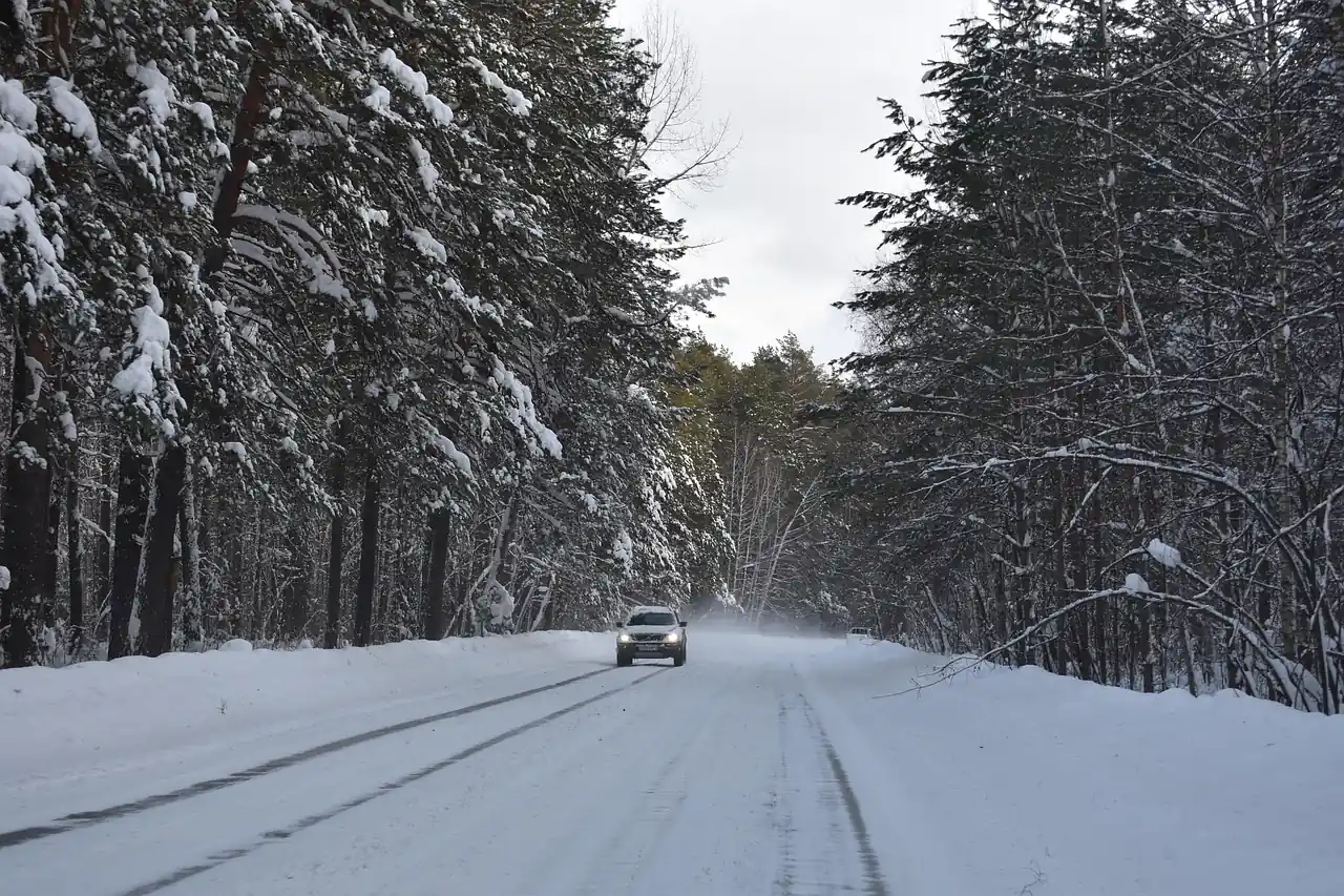 A small SUV driving down a snow-covered two-lane forest road lined with snowy pines