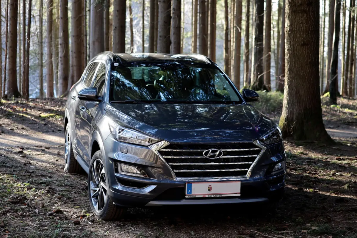 Dark gray crossover SUV parked on a forest floor among tall pine trunks; not a Ford Edge