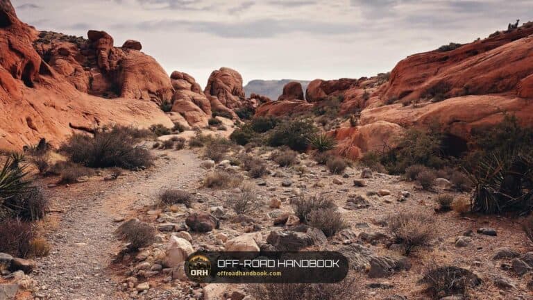 A rocky dirt trail winding between red sandstone formations in the Red Rock Canyon area near Las Vegas, Nevada