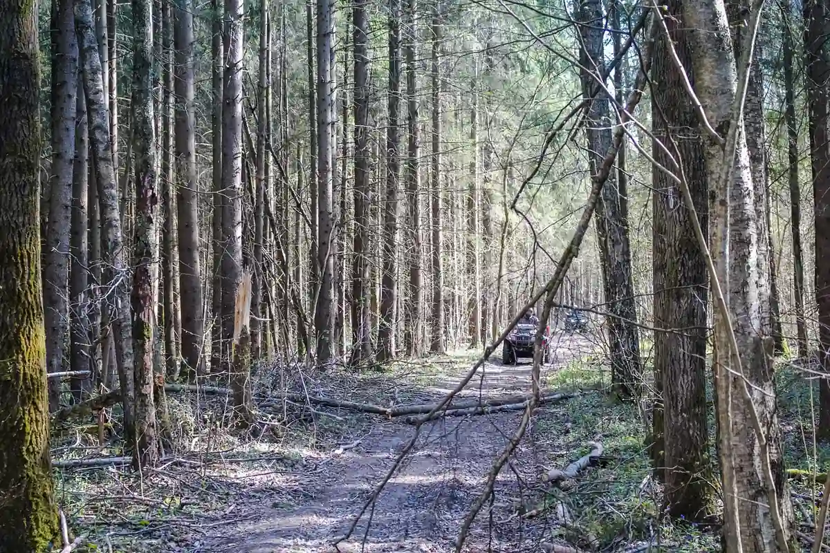 Wooded dirt trail through a bare spring forest with an off-road vehicle in the distance