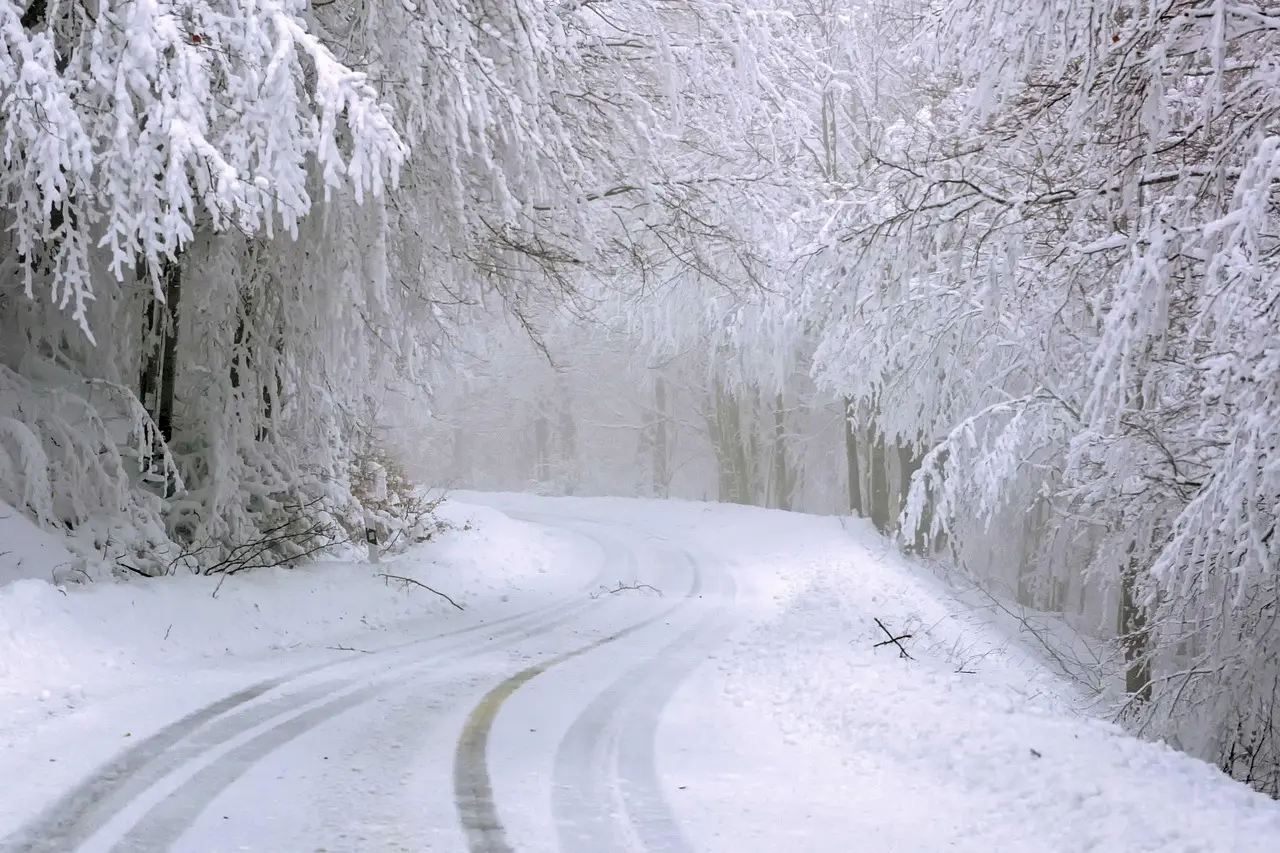 Snow-covered road through frosted trees with tire tracks pressed into the snow
