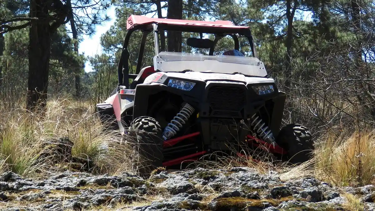 Polaris RZR XP side-by-side parked in tall dry grass among pine trees