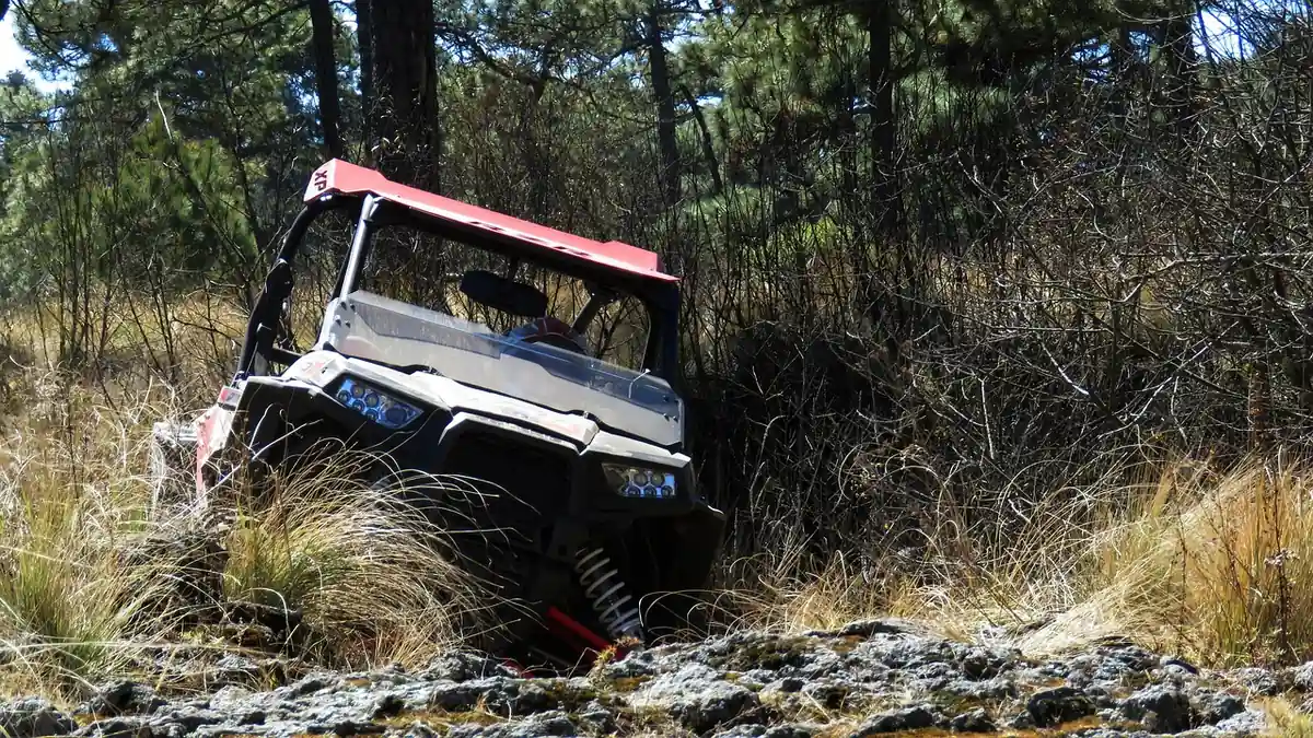 Polaris RZR side-by-side pushing through tall dry grass and brush on a forest trail