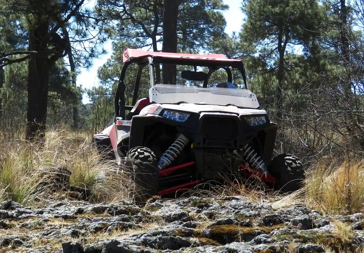 Side-by-side parked in tall dry grass and brush between pine trees