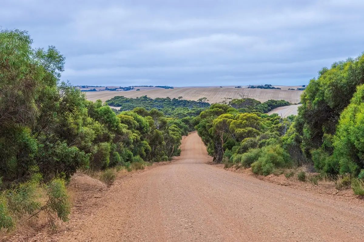 Graded dirt road curving through green trees and shrubs under a partly cloudy sky