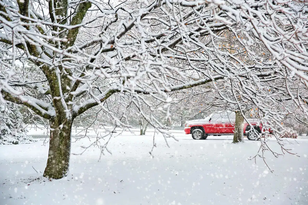 Red pickup truck parked in a snowy park with snow-covered trees