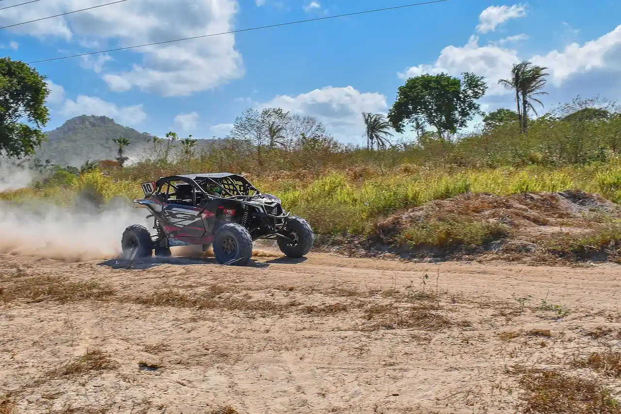 Side-by-side vehicle kicking up dust on a dirt road with palm trees behind